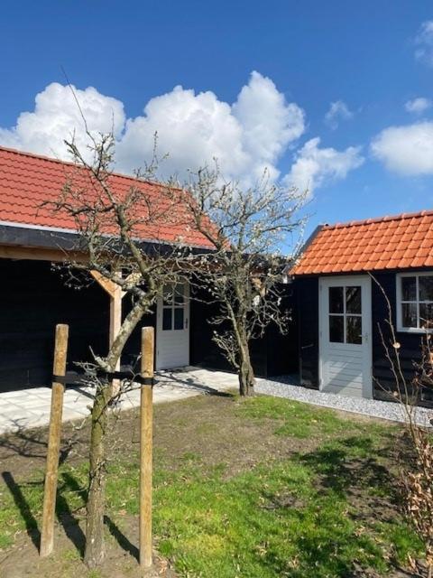 Villa 'T Schouws Uusje Burgh-Haamstede Exterior foto
